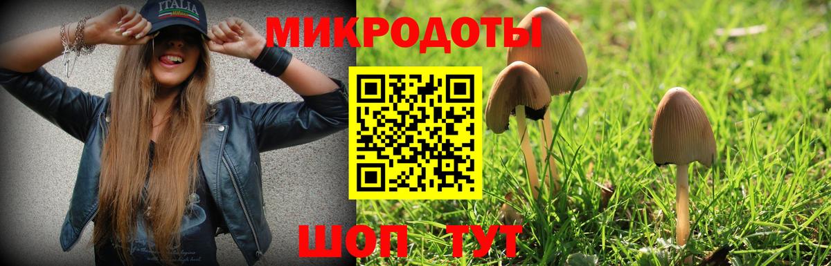 Галлюциногенные грибы Psilocybe  Псилоцибиновые грибы Psilocybe  Вход с VPN  Осинники 