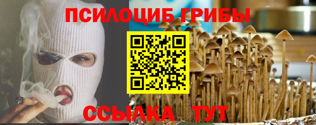 Галлюциногенные грибы ЛСД Осинники