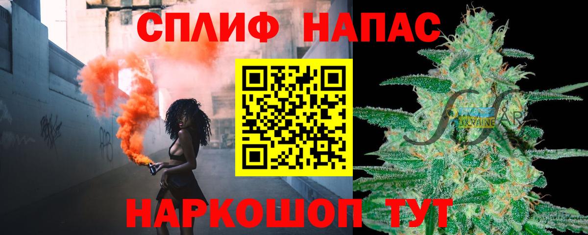 Конопля гибрид Осинники